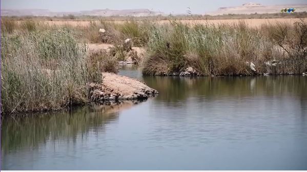 The Oasis Of Jaghbub Giarabub