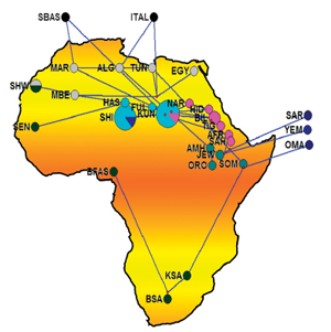 Afro-Asiatic Y-chromosome and E-haplogroups distribution