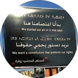 banner: need constitution to protect us