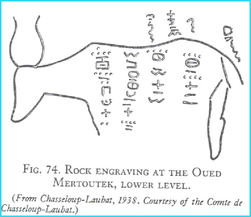 Oued Mertoutek engraving