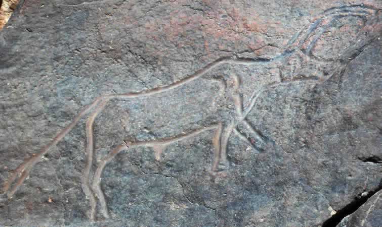 prehistoric engraving of a horned animal