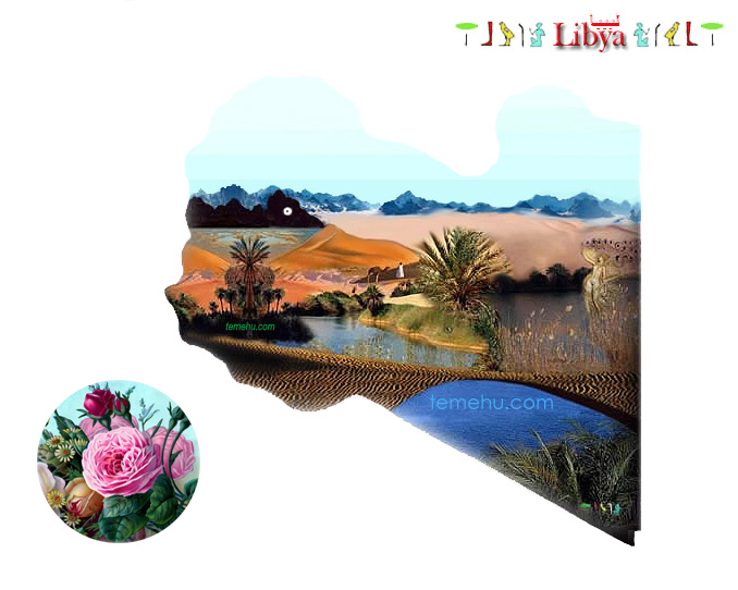 illustrated map of libya and flowers