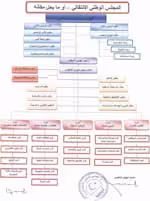 structure of the NTC