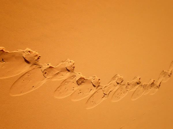 edhan murzuq sand falling shapes