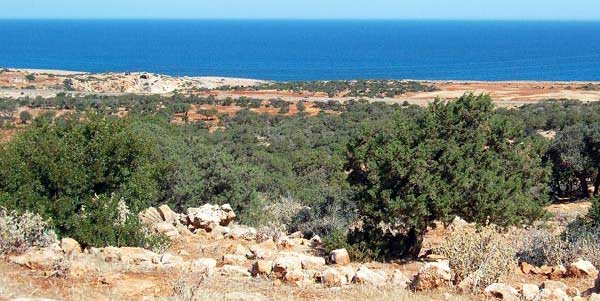 haua fteah area: view of the sea