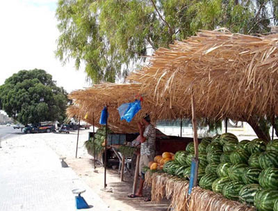 watermelon market by the edge of the road