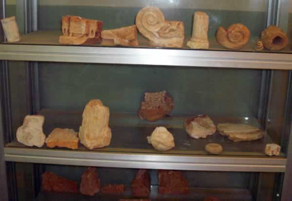 fossils and stone pieces from Apollonia museum