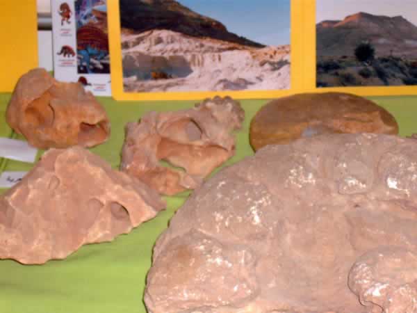 the area of Nalut dinasaur museum