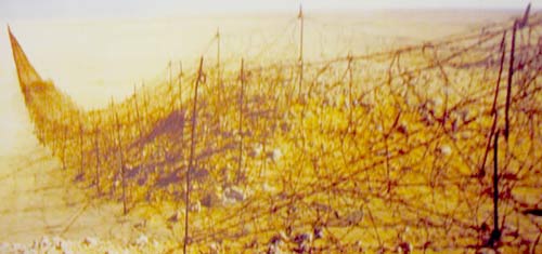 Tobruk's world war II barbed wire