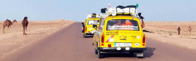 two yellow cars in a road and camels on the side of the road