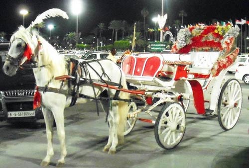 tripoli taxi chariot: white horse and white chariot with red seats