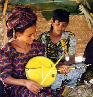 the Tuareg imzad: a one string instrument