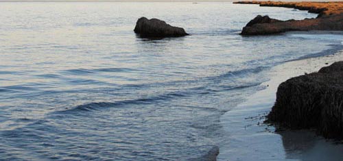 Tawsent, a beach area rich in seaweed in Zuwarah