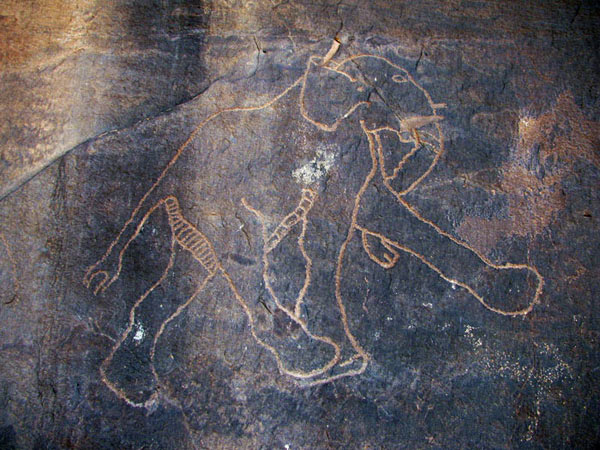 an elegant elephant engraving from wadi tashwinat