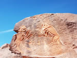two cats fighting: prehistoric engraving from Wadi Metkhandoush