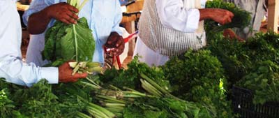 fresh herbs from the market