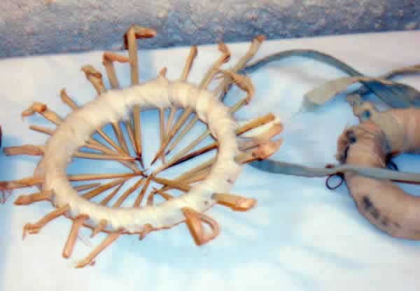 trapping device from Nalut
