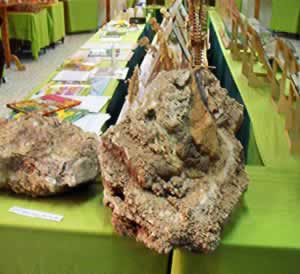 photo of exhibits at nalut dinosaur mueum