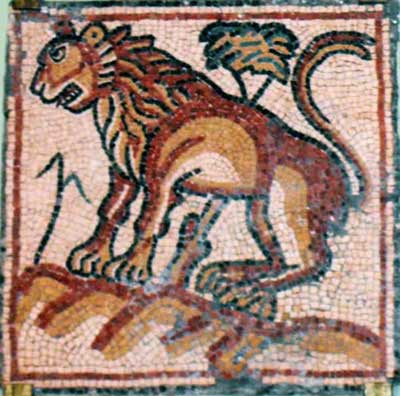 a lion