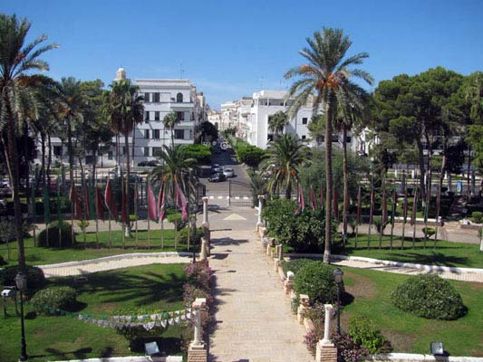 the view from the front of the museum: a road leading to Algeria square