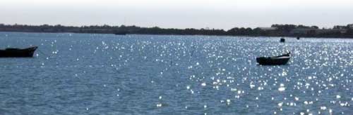 Abu Kammash from the sea