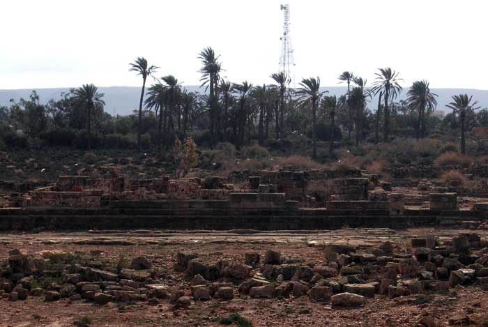 Tokra: a scene of palm trees with archaeological remains in the foreground