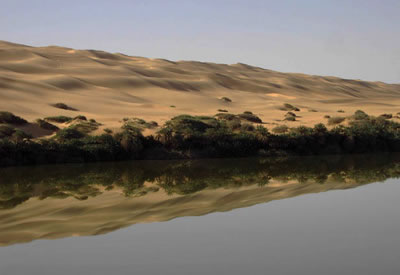 Desert Lake Reflections