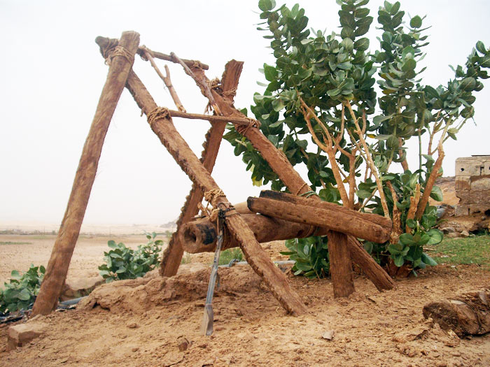 Watering system, shadouf-like