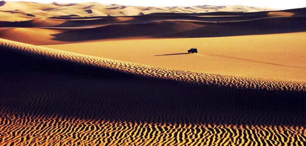 Sahara golden colour sand dunes