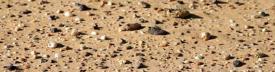 Sahara surface exposed by the wind