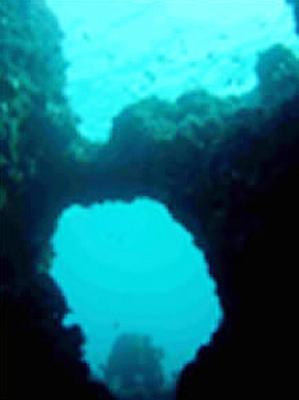 tibuda underwater