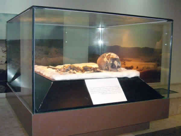 the mummy in a display glass box