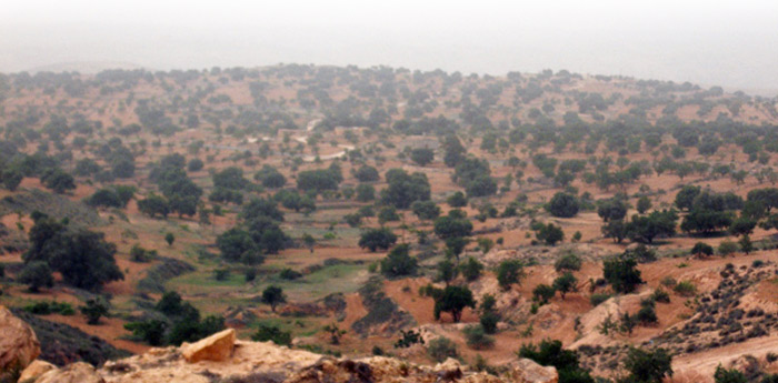 a view of fields from yefren
