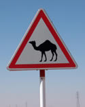 road sign in Libya showing camels crossing the road