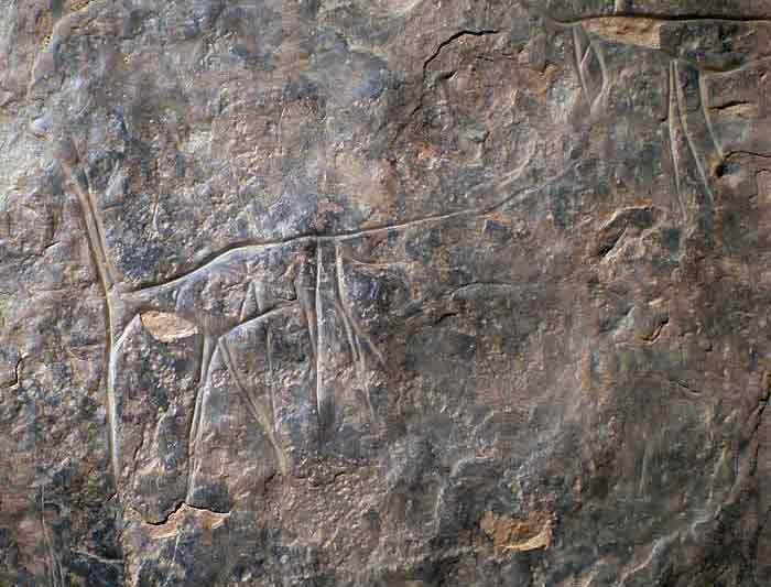 messak settafet and mellet rock engraving on black stone