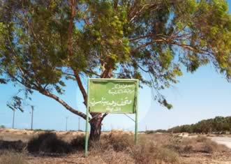 the welcome sign to the museum under a big a tree