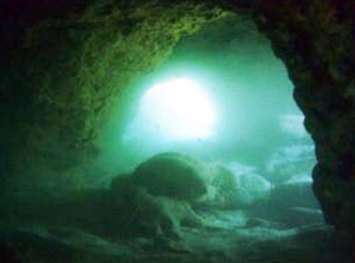 tibuda underwater arches