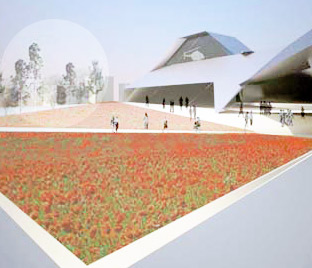 poppy field outside the museum