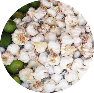 garlic in the market
