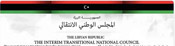 transitional national council website