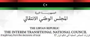 transitional national council website