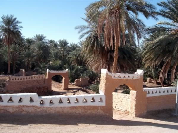 Daraj Oasis