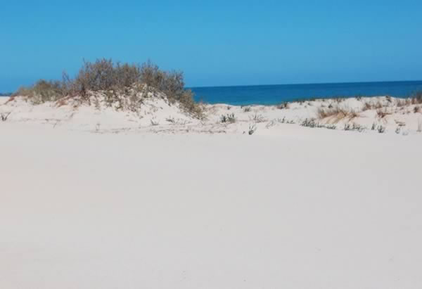 sand by the beach of Farwah