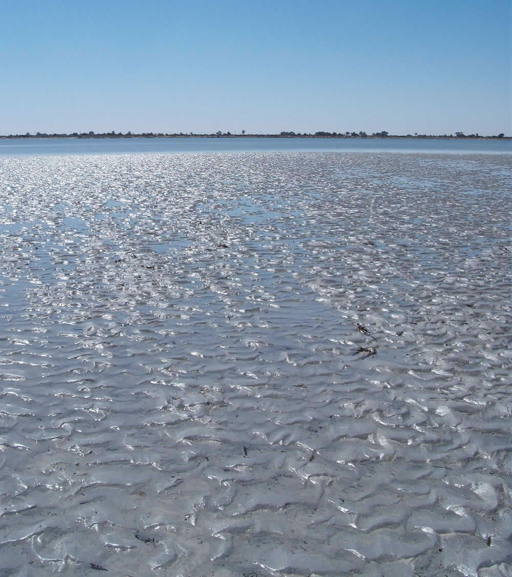 a view from the island of Farwa of the Libyan coast