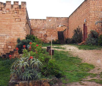 Qaser Libya garden view