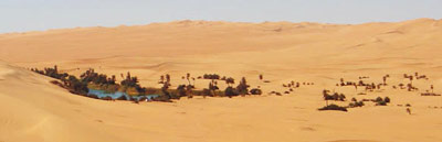 a small lake surrounded by sand dunes, Awbari sand sea